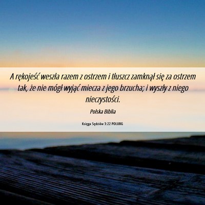 Picture 06 - Księga Sędziów 3:22 POLUBG - A rękojeść weszła razem z ostrzem i tłuszcz - Bible Verse Picture
