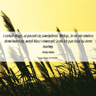 Picture 06 - Księga Sędziów 3:25 POLUBG - I czekali długo, aż poczuli się zawstydzeni. - Bible Verse Picture