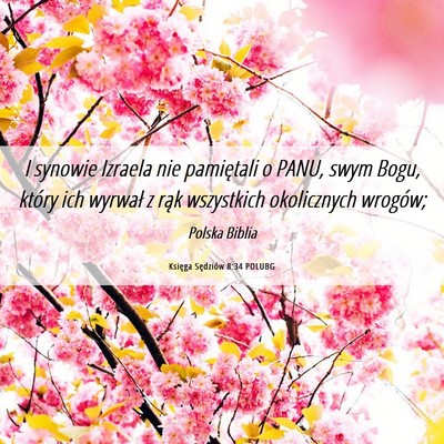 Picture 06 - Księga Sędziów 8:34 POLUBG - I synowie Izraela nie pamiętali o PANU, swym - Bible Verse Picture