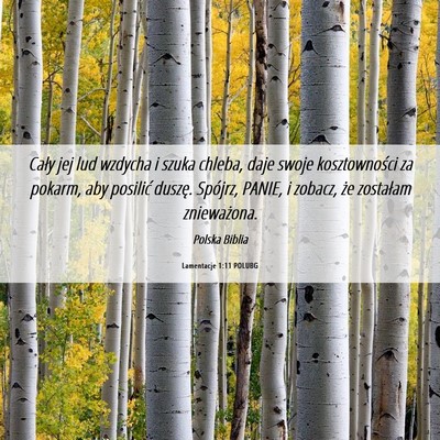 Picture 06 - Lamentacje 1:11 POLUBG - Cały jej lud wzdycha i szuka chleba, daje swoje - Bible Verse Picture
