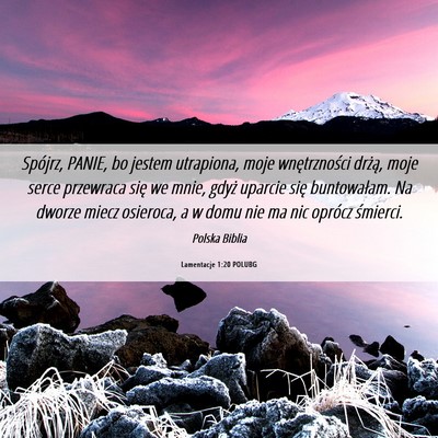 Picture 06 - Lamentacje 1:20 POLUBG - Spójrz, PANIE, bo jestem utrapiona, moje - Bible Verse Picture