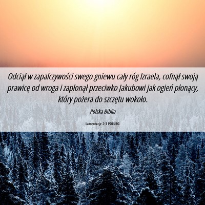 Picture 06 - Lamentacje 2:3 POLUBG - Odciął w zapalczywości swego gniewu cały róg - Bible Verse Picture