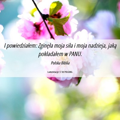Picture 06 - Lamentacje 3:18 POLUBG - I powiedziałem: Zginęła moja siła i moja - Bible Verse Picture