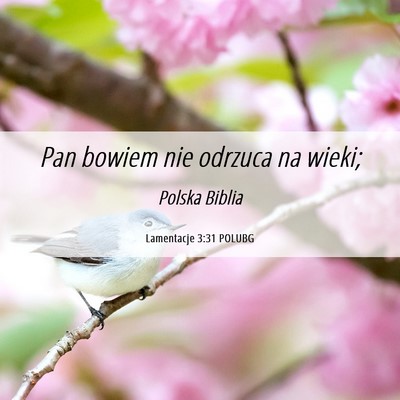 Picture 06 - Lamentacje 3:31 POLUBG - Pan bowiem nie odrzuca na - Bible Verse Picture