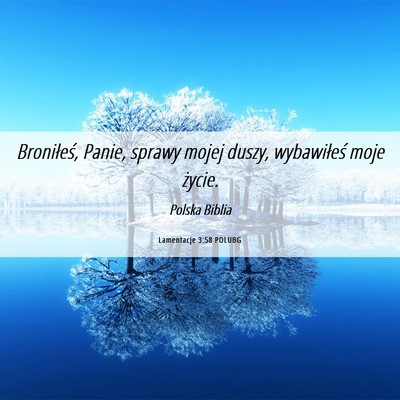 Picture 06 - Lamentacje 3:58 POLUBG - Broniłeś, Panie, sprawy mojej duszy, - Bible Verse Picture