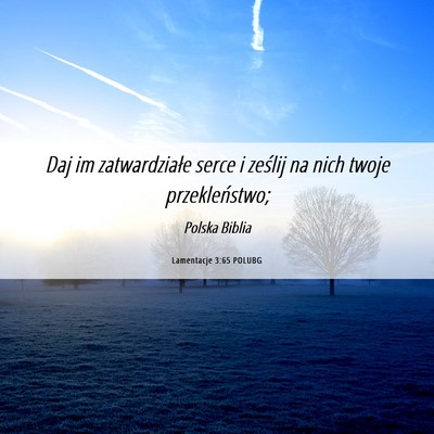 Picture 06 - Lamentacje 3:65 POLUBG - Daj im zatwardziałe serce i ześlij na nich - Bible Verse Picture