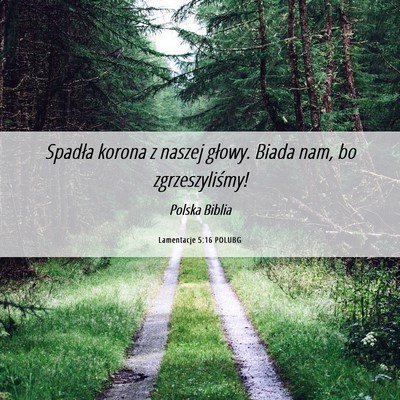 Picture 06 - Lamentacje 5:16 POLUBG - Spadła korona z naszej głowy. Biada nam, bo - Bible Verse Picture