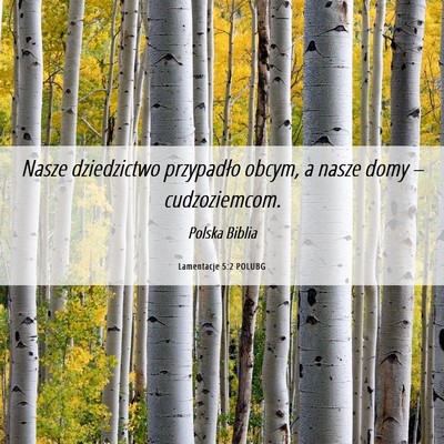 Picture 06 - Lamentacje 5:2 POLUBG - Nasze dziedzictwo przypadło obcym, a nasze domy - Bible Verse Picture