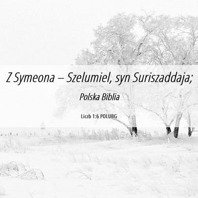 Picture 06 - Liczb 1:6 POLUBG - Z Symeona – Szelumiel, syn - Bible Verse Picture