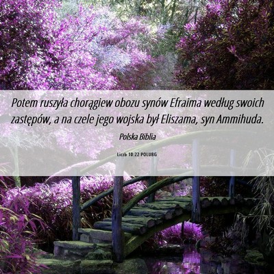 Picture 06 - Liczb 10:22 POLUBG - Potem ruszyła chorągiew obozu synów Efraima - Bible Verse Picture