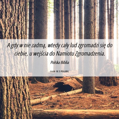 Picture 06 - Liczb 10:3 POLUBG - A gdy w nie zadmą, wtedy cały lud zgromadzi - Bible Verse Picture