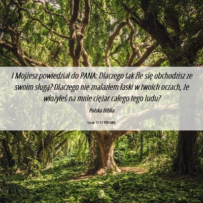 Picture 06 - Liczb 11:11 POLUBG - I Mojżesz powiedział do PANA: Dlaczego tak źle - Bible Verse Picture