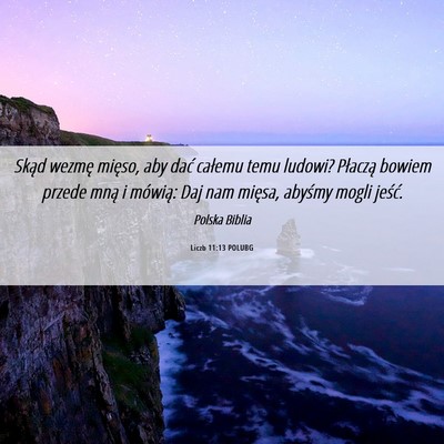 Picture 06 - Liczb 11:13 POLUBG - Skąd wezmę mięso, aby dać całemu temu - Bible Verse Picture