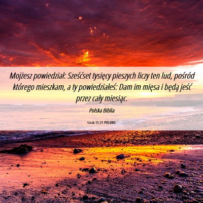 Picture 06 - Liczb 11:21 POLUBG - Mojżesz powiedział: Sześćset tysięcy - Bible Verse Picture