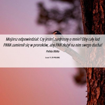 Picture 06 - Liczb 11:29 POLUBG - Mojżesz odpowiedział: Czy jesteś zazdrosny o - Bible Verse Picture