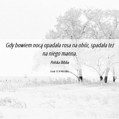 Picture 06 - Liczb 11:9 POLUBG - Gdy bowiem nocą opadała rosa na obóz, spadała - Bible Verse Picture