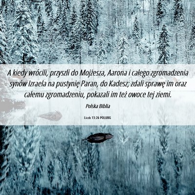 Picture 06 - Liczb 13:26 POLUBG - A kiedy wrócili, przyszli do Mojżesza, Aarona i - Bible Verse Picture