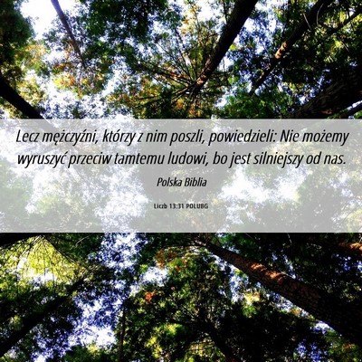 Picture 06 - Liczb 13:31 POLUBG - Lecz mężczyźni, którzy z nim poszli, - Bible Verse Picture