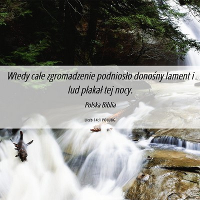 Picture 06 - Liczb 14:1 POLUBG - Wtedy całe zgromadzenie podniosło donośny - Bible Verse Picture
