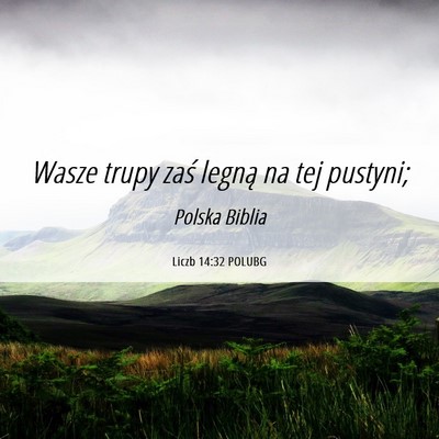 Picture 06 - Liczb 14:32 POLUBG - Wasze trupy zaś legną na tej - Bible Verse Picture