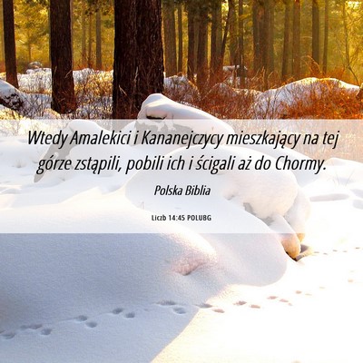 Picture 06 - Liczb 14:45 POLUBG - Wtedy Amalekici i Kananejczycy mieszkający na - Bible Verse Picture