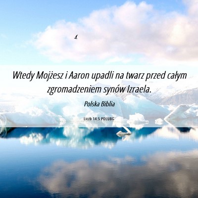 Picture 06 - Liczb 14:5 POLUBG - Wtedy Mojżesz i Aaron upadli na twarz przed - Bible Verse Picture