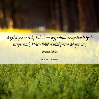 Picture 06 - Liczb 15:22 POLUBG - A gdybyście zbłądzili i nie wypełnili - Bible Verse Picture