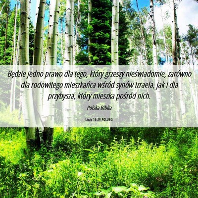 Picture 06 - Liczb 15:29 POLUBG - Będzie jedno prawo dla tego, który grzeszy - Bible Verse Picture