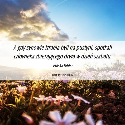 Picture 06 - Liczb 15:32 POLUBG - A gdy synowie Izraela byli na pustyni, spotkali - Bible Verse Picture