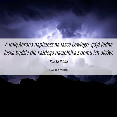 Picture 06 - Liczb 17:3 POLUBG - A imię Aarona napiszesz na lasce Lewiego, gdyż - Bible Verse Picture