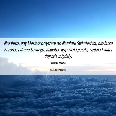 Picture 06 - Liczb 17:8 POLUBG - Nazajutrz, gdy Mojżesz przyszedł do Namiotu - Bible Verse Picture
