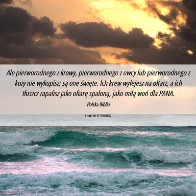 Picture 06 - Liczb 18:17 POLUBG - Ale pierworodnego z krowy, pierworodnego z owcy - Bible Verse Picture
