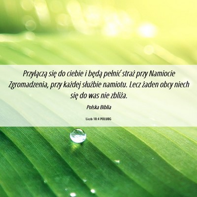 Picture 06 - Liczb 18:4 POLUBG - Przyłączą się do ciebie i będą pełnić - Bible Verse Picture