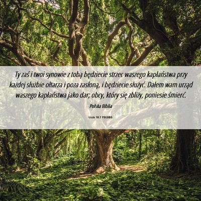 Picture 06 - Liczb 18:7 POLUBG - Ty zaś i twoi synowie z tobą będziecie strzec - Bible Verse Picture