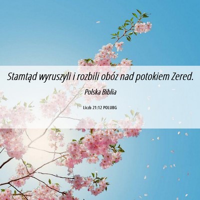 Picture 06 - Liczb 21:12 POLUBG - Stamtąd wyruszyli i rozbili obóz nad potokiem - Bible Verse Picture