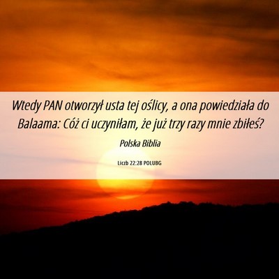 Picture 06 - Liczb 22:28 POLUBG - Wtedy PAN otworzył usta tej oślicy, a ona - Bible Verse Picture