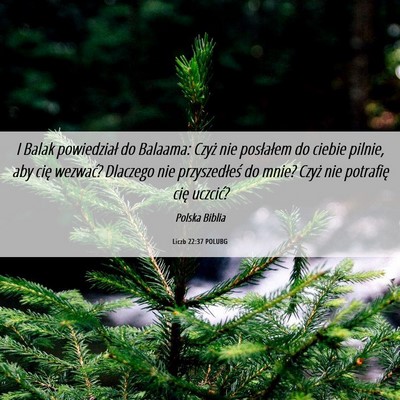 Picture 06 - Liczb 22:37 POLUBG - I Balak powiedział do Balaama: Czyż nie - Bible Verse Picture