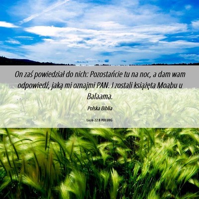 Picture 06 - Liczb 22:8 POLUBG - On zaś powiedział do nich: Pozostańcie tu na - Bible Verse Picture