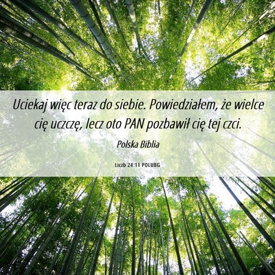 Picture 06 - Liczb 24:11 POLUBG - Uciekaj więc teraz do siebie. Powiedziałem, że - Bible Verse Picture