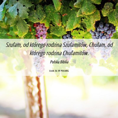 Picture 06 - Liczb 26:39 POLUBG - Szufam, od którego rodzina Szufamitów, Chufam, - Bible Verse Picture