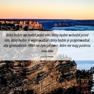 Picture 06 - Liczb 27:17 POLUBG - Który będzie wychodził przed nim i który - Bible Verse Picture
