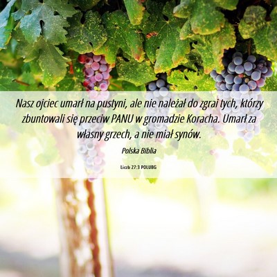 Picture 06 - Liczb 27:3 POLUBG - Nasz ojciec umarł na pustyni, ale nie należał - Bible Verse Picture