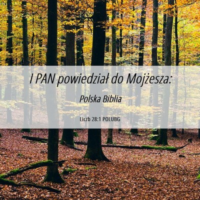 Picture 06 - Liczb 28:1 POLUBG - I PAN powiedział do - Bible Verse Picture