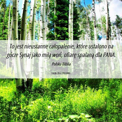 Picture 06 - Liczb 28:6 POLUBG - To jest nieustanne całopalenie, które ustalono - Bible Verse Picture