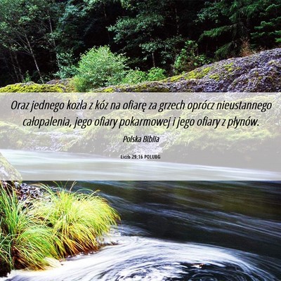 Picture 06 - Liczb 29:16 POLUBG - Oraz jednego kozła z kóz na ofiarę za grzech - Bible Verse Picture