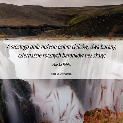 Picture 06 - Liczb 29:29 POLUBG - A szóstego dnia złożycie osiem cielców, dwa - Bible Verse Picture