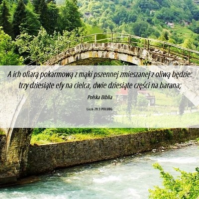 Picture 06 - Liczb 29:3 POLUBG - A ich ofiarą pokarmową z mąki pszennej - Bible Verse Picture
