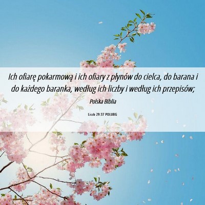 Picture 06 - Liczb 29:37 POLUBG - Ich ofiarę pokarmową i ich ofiary z płynów do - Bible Verse Picture