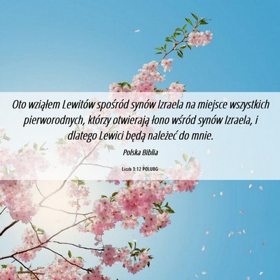 Picture 06 - Liczb 3:12 POLUBG - Oto wziąłem Lewitów spośród synów Izraela - Bible Verse Picture