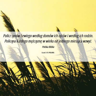 Picture 06 - Liczb 3:15 POLUBG - Policz synów Lewiego według domów ich ojców i - Bible Verse Picture